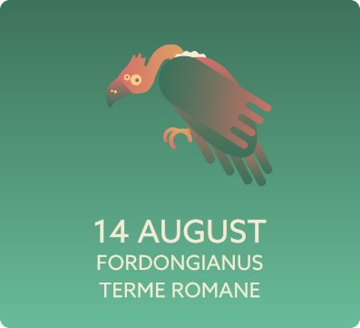 Fordongianus - Terme Romane / 14 Agosto 2019