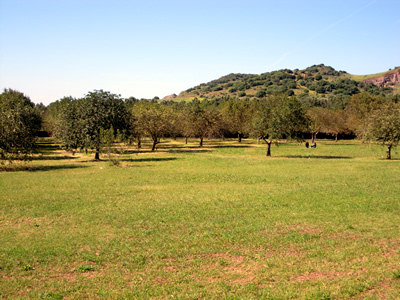 Ill prato e l'area circostante il Parco Santa Lucia